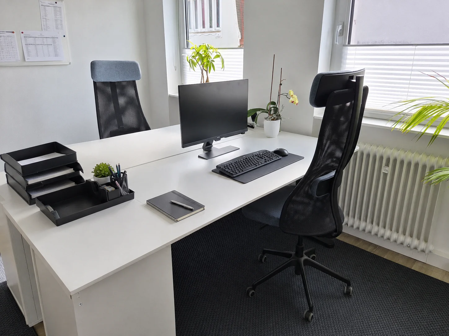 Ruhiger, minimalistischer Arbeitsplatz mit Pflanzen in der Bürogemeinschaft K7 Workspace Königstein